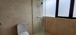 The Draycott (D10), Apartment #602114081